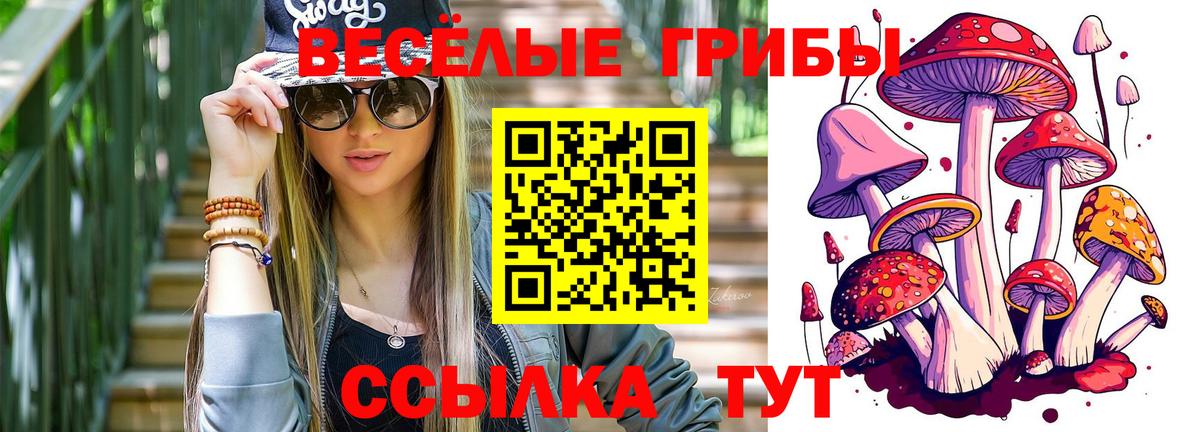 Павловский Посад  Галлюциногенные грибы Psilocybine cubensis  как найти наркотики  Вход с VPN 